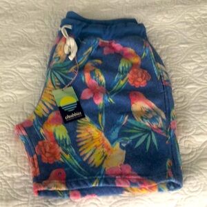 Chubbies Featherweight shorts XL